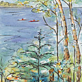 Kayaks On The Lake