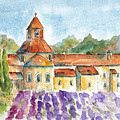 Senanque Abbey Lavender
